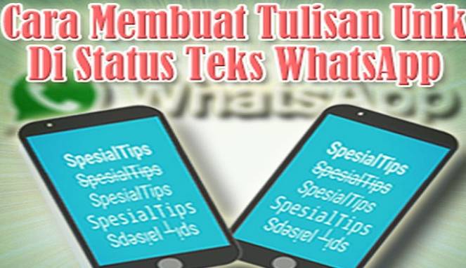 Begini Cara Buat Status Teks WhatsApp Tampil Lebih Unik