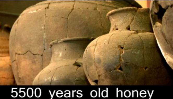 Madu Sudah Digunakan Sebagai Obat Lebih dari 5000 Tahun Lalu