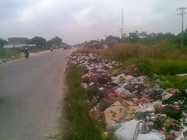 Kadis DKP Pekanbaru Senang Angkutan Sampah Diserahkan Pihak Ketika