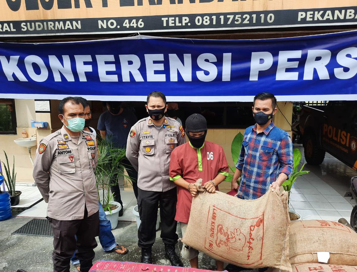 Polisi Tangkap Pelaku Pencuri Lima Karung Cabai di Pekanbaru