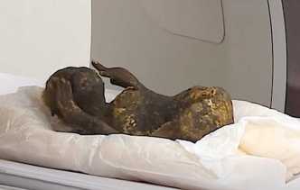 Disimpan di Kuil, Mumi Putri Duyung Berusia 300 Tahun Dipelajari Ilmuwan Jepang