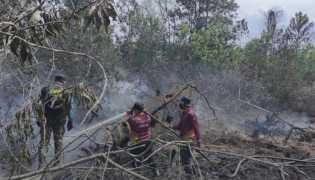 Karhutla Ancam Riau, BEM Unri Turun Langsung Padamkan Api