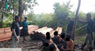 Polsek Singingi Hilir Tangkap 7 Pelaku Illegal Logging di Hutan Rimbang Baling