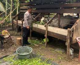 Polsek Bangko Gelar Pembinaan Ketahanan Pangan ke Masyarakat