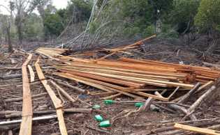 Petugas Patroli BBKSDA Riau Temukan Ilegal Logging di SM Kerumutan