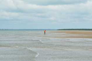 Walhi Riau : Penambangan Pasir Laut di Pulau Rupat Ganggu Biota Laut