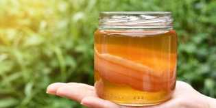 Tujuh Manfaat Kesehatan dari Kombucha, Fermentasi Teh yang Luar Biasa