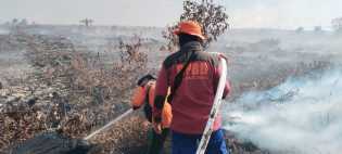 118 Titik Panas Terpantau di Riau, Terbanyak di Inhu dan Rohil