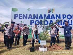 Tanam Pohon di Kuansing, Kapolda Riau: Ini Bentuk Cinta Kita kepada Ibu Pertiwi