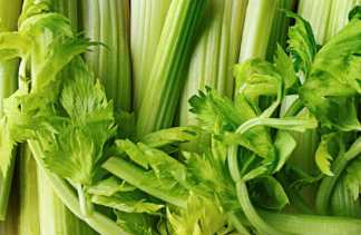 Segudang Manfaat Mengonsumsi Seledri