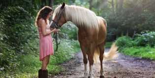 Mengapa Kuda Tidur Berdiri? Ini Penjelasan Sains