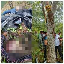 Kepala Tinggal Tengkorak, Mayat Wanita Membusuk di Kebun Karet 