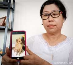 Penadah Anjing Curian Dituntut 3 Tahun Penjara, Merry Gho: Biarkan Proses Hukum Berjalan