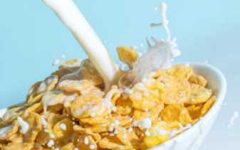 7 Titik Kritis Kehalalan Sereal yang Perlu Diketahui Konsumen Muslim