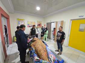 Cekcok Soal Tanah Warisan, Adik Tewas Ditikam Kakak di Kampar