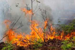 114 Titik Panas Kepung Riau di Akhir Pekan