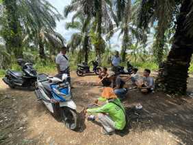 Razia Narkoba di Desa Pawan, Tiga Warga Positif, Barang Bukti Ditemukan