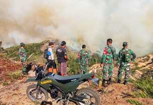 Karhutla di Rokan Hulu, 10 Hektare Lahan Ludes Terbakar, Petugas Butuh Water Bombing
