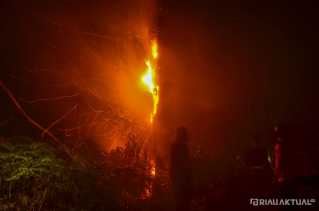 Sejak Januari, 1.219,93 Ha Lahan Terbakar di Riau