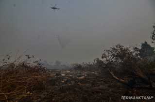 1159 Titik Panas Tersebar di Sumatera, 53 Titik ada di Riau