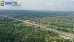 Cegah Gajah Masuk Tol, BBKSDA Riau Tanam Pohon Pisang di Underpass