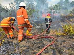 Panas Terik, BPBD Pekanbaru Catat 5 Hektar Lahan Terbakar dalam Sebulan