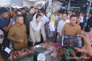 Pekanbaru Bisa Kendalikan Inflasi, Wamendag Tinjau Pasar Cik Puan