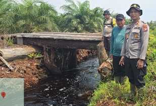 Pasukan Jenderal Temukan Dugaan Ilegal Loging Dekat Cagar Biosfer Bengkalis