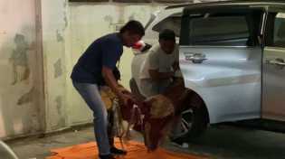 Penyebab Kematian FY Mulai Terkuak, Polisi Beberkan Temuannya