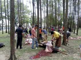 Panitia Kurban DPRD Riau Sayangkan Tudingan Kupon Daging Palsu