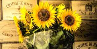 Makna Bunga Matahari dalam Sejarah Bangsa Ukraina