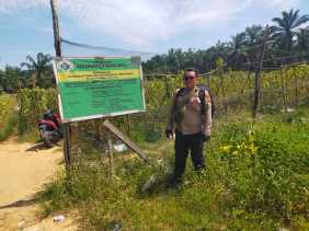 Tingkatkan Produksi Pangan, Polsek Bangko Pusako Gelar Pembinaan Ketahanan Pangan