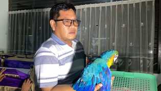 Penyelundupan Burung Makaw dan Rubah Digagalkan