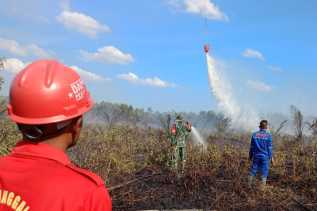 Sejak Januari-Februari Lahan Terbakar di Riau Capai 19,10 Hektare