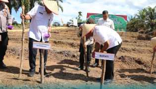 Bupati, Polres Rohul, dan Universitas Rokania Sukseskan Penanaman Jagung Serentak Nasional