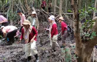 Study Tour, Siswa SMAN 9 Pekanbaru Belajar di Hutan Mangrove