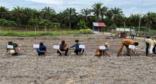 Dukung Program Asta Cita Presiden, Kapolsek Kerumutan dan Upika Tanam Jagung Manis