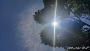 Suhu Bisa Capai 36 Derajat Celsius, Panas Terik Terjadi di Riau Sejak Pagi