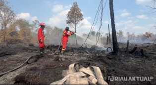 Polisi Selidiki Dugaan Kesengajaan Karhutla di Kampar