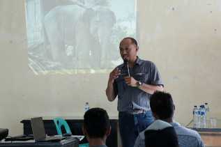 Tesso Nilo di Ambang Krisis, FKGI Serukan Aksi Selamatkan Gajah Sumatera