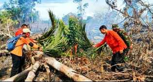 Diduga Sengaja Dibakar, 7 Hektare Lebih Lahan di Rohul Rata Dilalap Api
