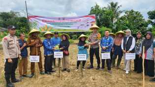 Polsek Langgam dan Camat Tanam Bibit Jagung Program Asta Cita Presiden RI