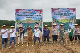 PT Tasma Puja dan Polres Inhu Tanam Jagung, Dukung Ketahanan Pangan Nasional
