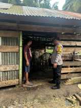 Polsek Bangko Pusako Taja Ketahanan Pangan Petani