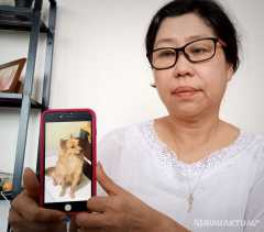 Anjing Kesayangan Dicuri dan Dipotong, Pemilik Minta Pelaku Dihukum Berat