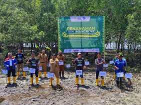 Cegah Abrasi, Jasa Raharja Riau Tanam 3.000 Bibit Mangrove di Bengkalis