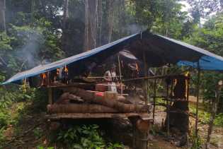 Petugas Musnahkan Empat Pondok Liar dan Tanaman Sawit di Rimbang Baling Kuansing Riau