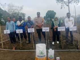 Dukung Program Presiden, Pemdes Lebuh Lurus Laksanakan Penanaman Jagung
