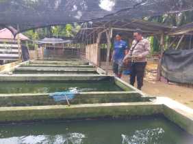 Polsek Bangko Pusako Dorong Petani Bangko Sempurna Perkuat Ketahanan Pangan