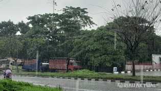 Cuaca Riau Masih Didominasi Hujan, Waspada Petir dan Angin Kencang di Dumai dan Rohil